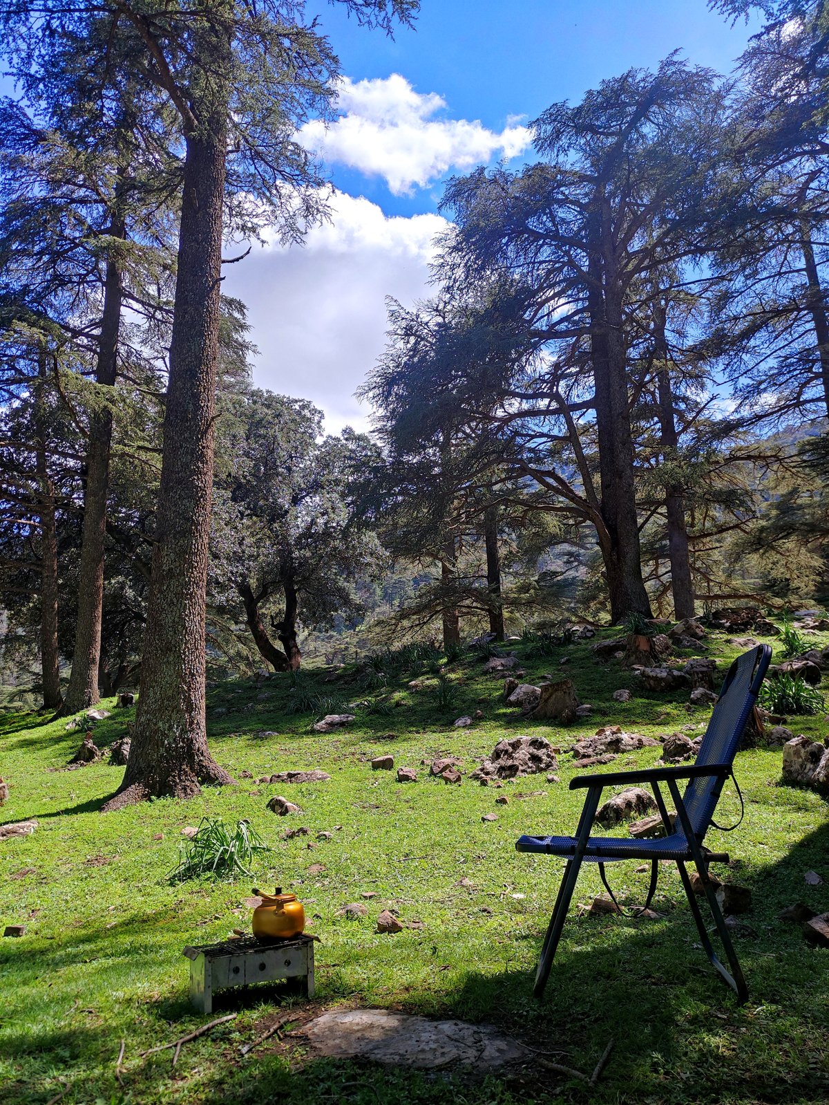 This Stunning Photo of Algeria Will Make You Want to Explore the Unknown