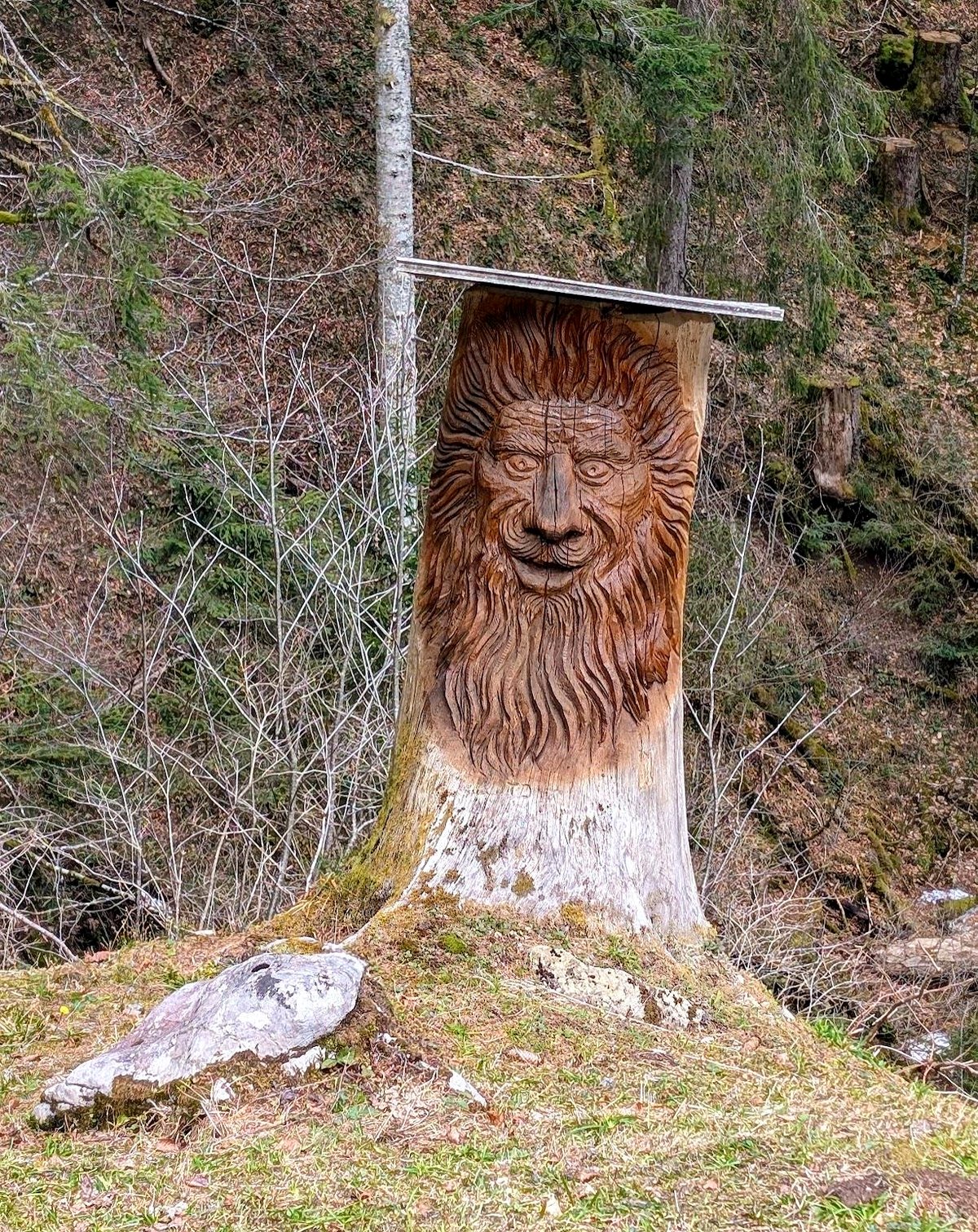 What this hiker found in the forest left her speechless and inspired