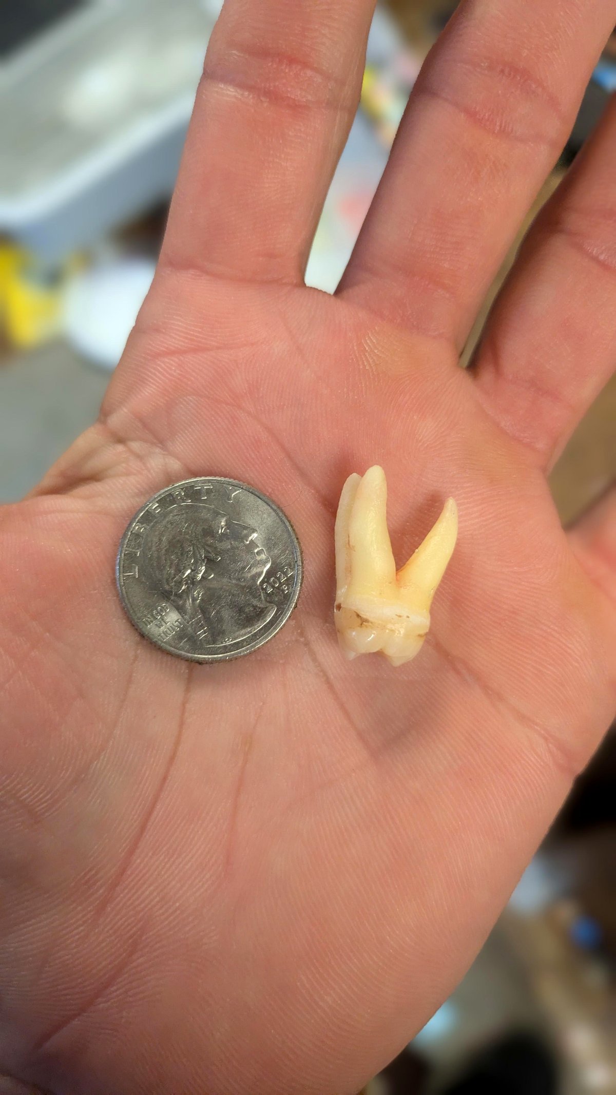 This woman’s dentist visit turned into a viral moment for all the right reasons