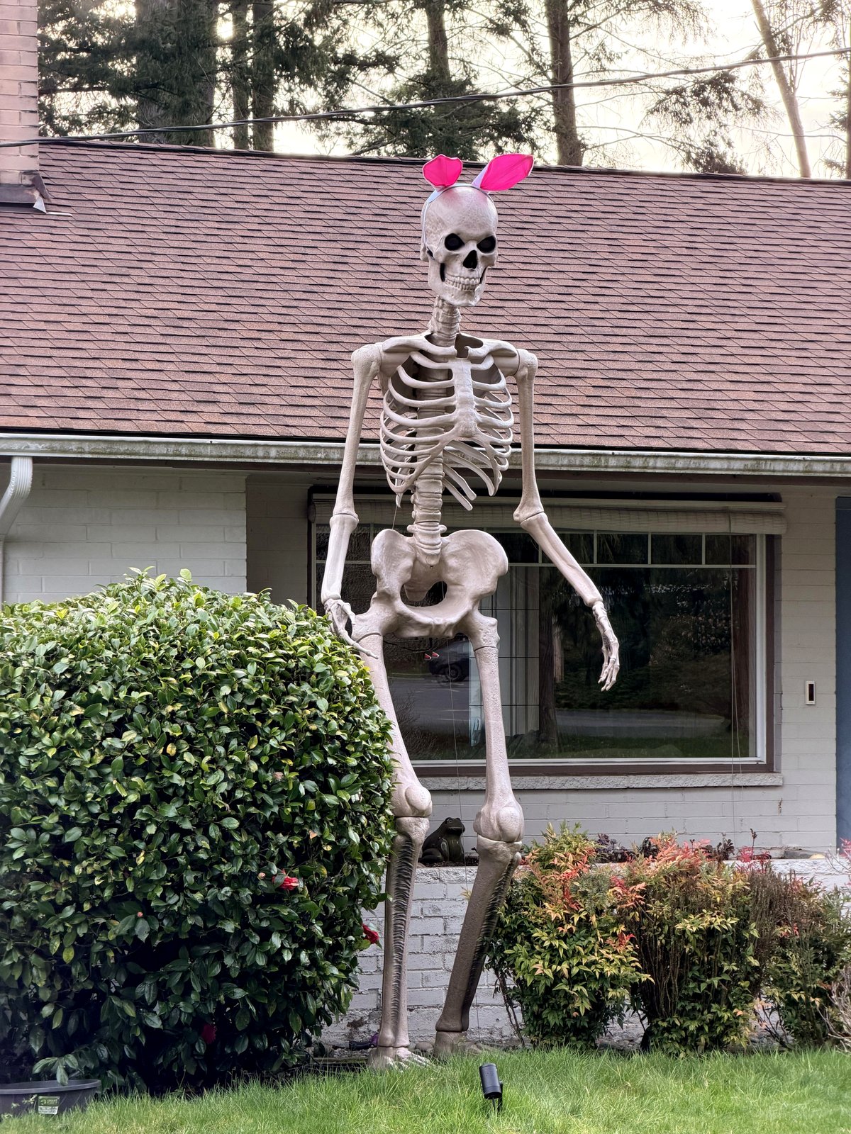 When Halloween Meets Spring: The Unlikely Bunny Eared Skeleton