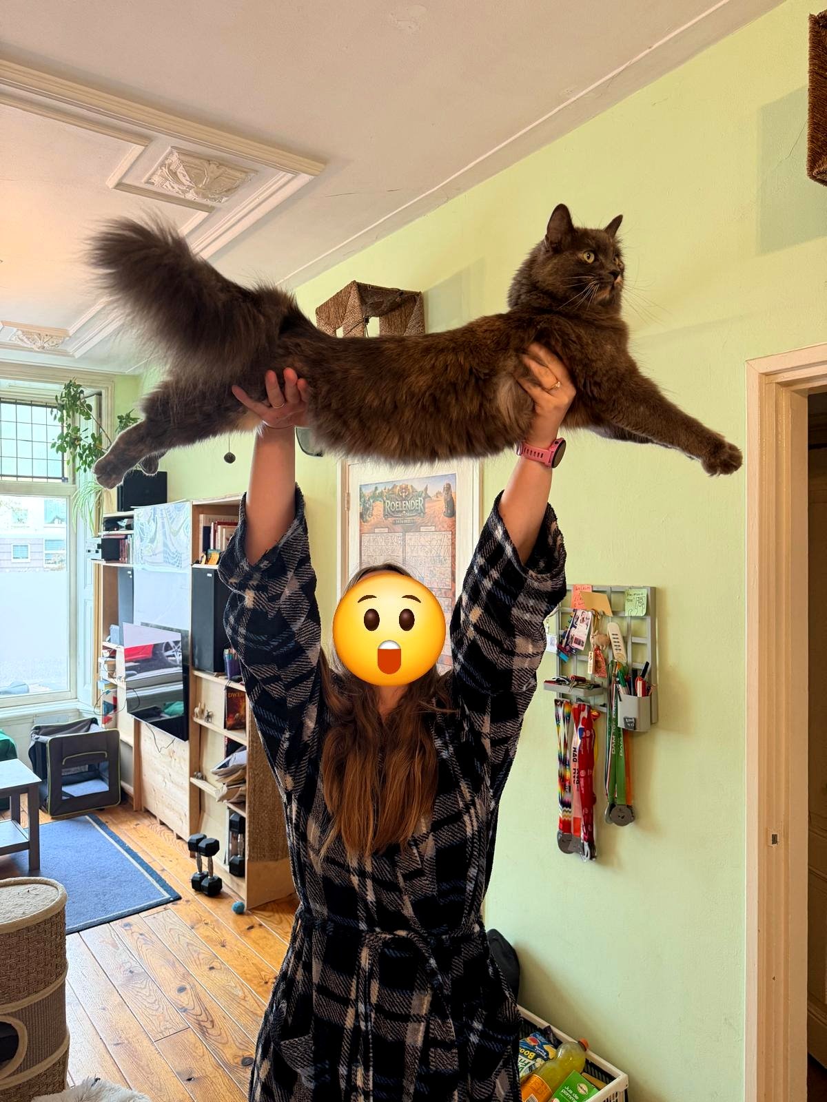 This simple cat photo just made thousands smile today