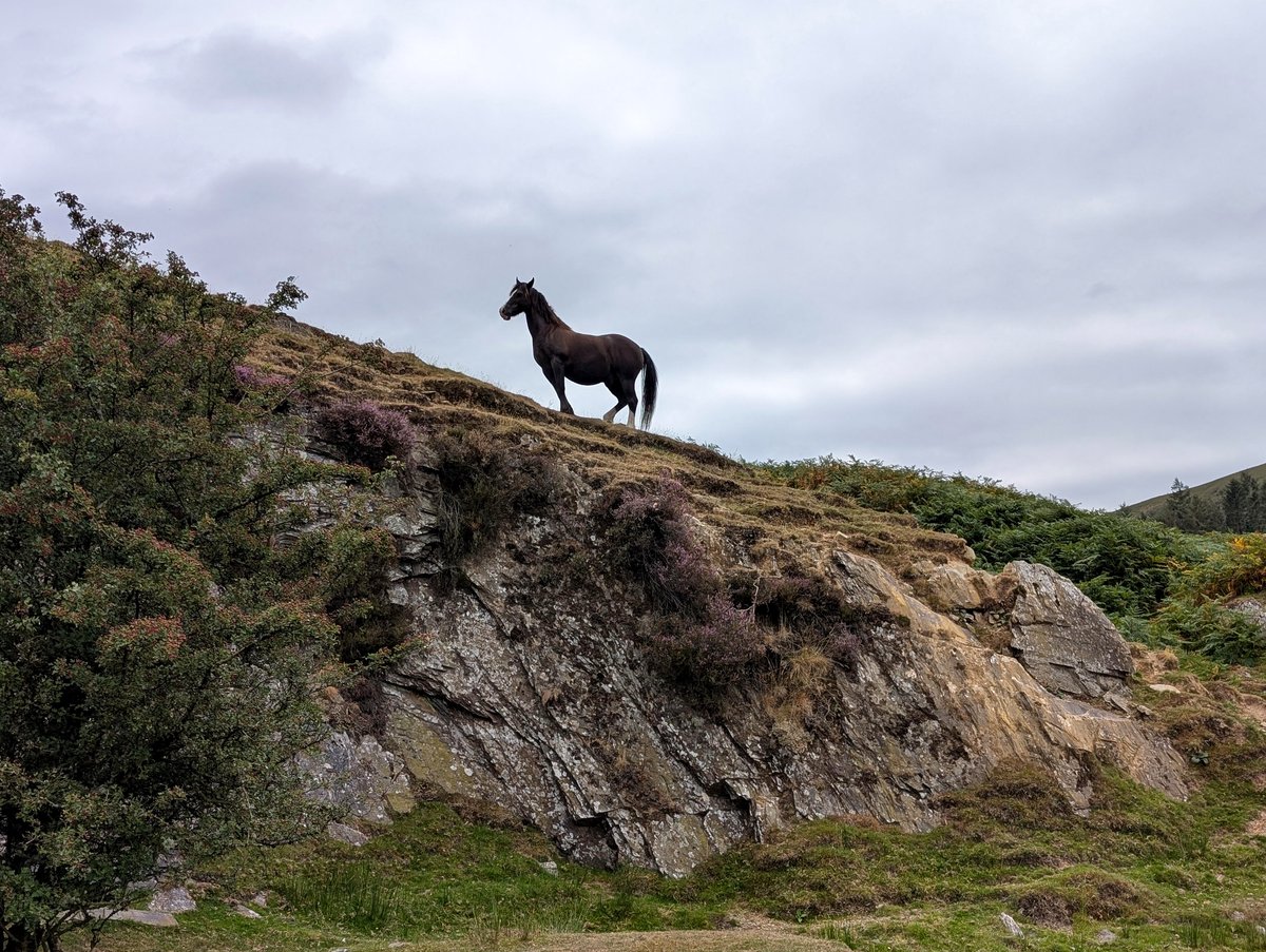 Discover the hidden gem of Wales that stole hearts with one stunning photo
