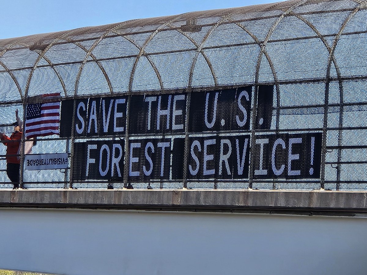 This vibrant gathering in Hartford is a powerful call for our trees