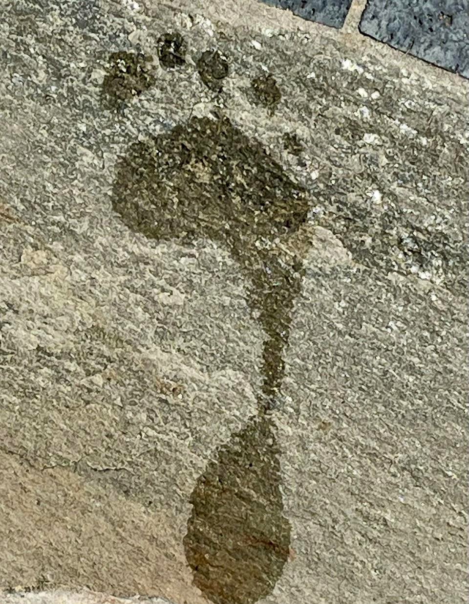 The moment I realized my feet tell a story