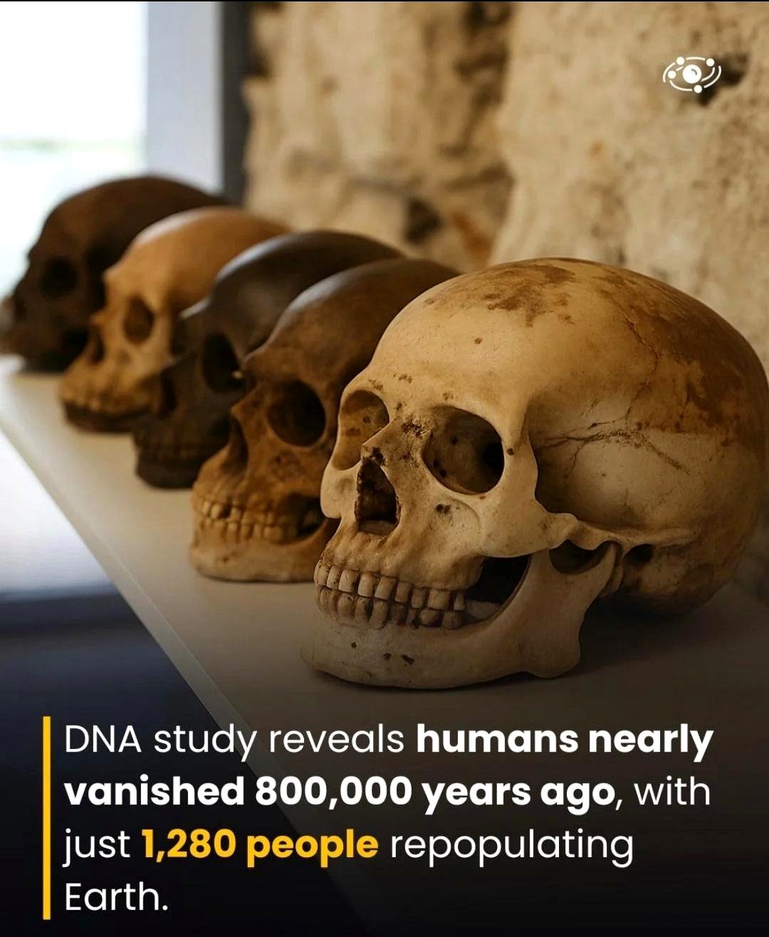 What Nearly Caused Humanity to Vanish 800,000 Years Ago?
