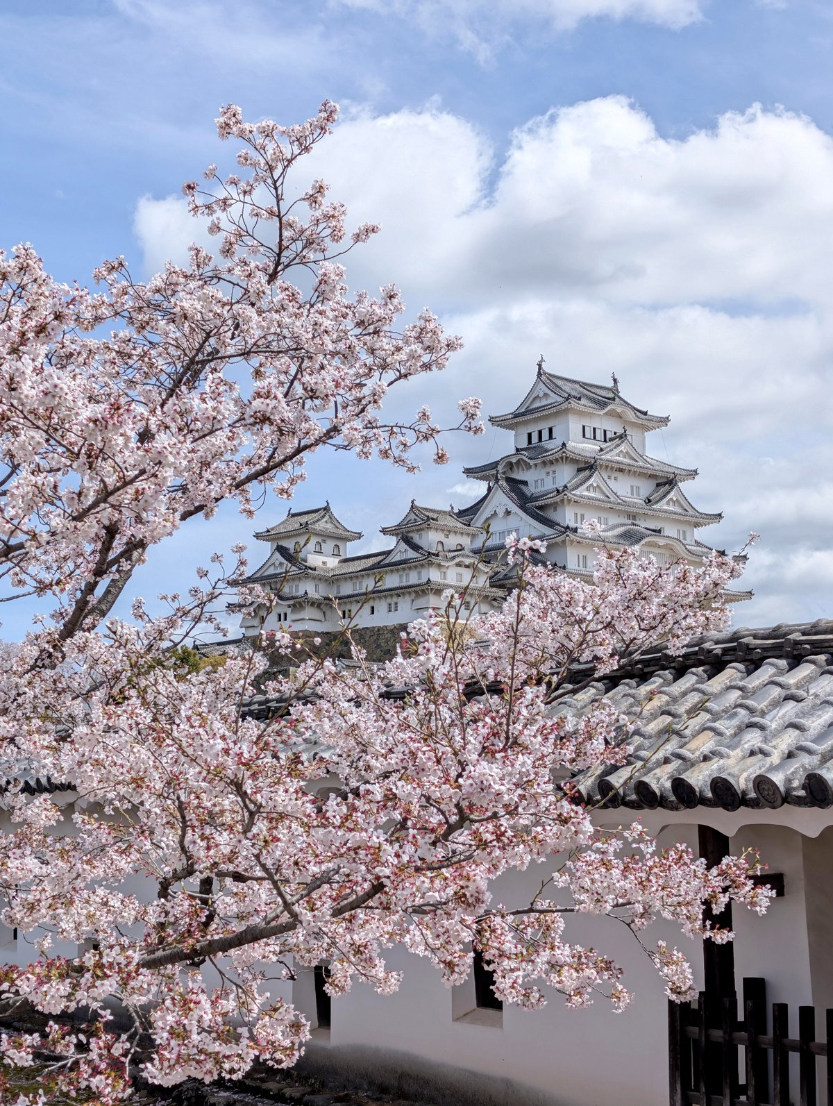 This enchanting photo of Himeji Castle will leave you speechless