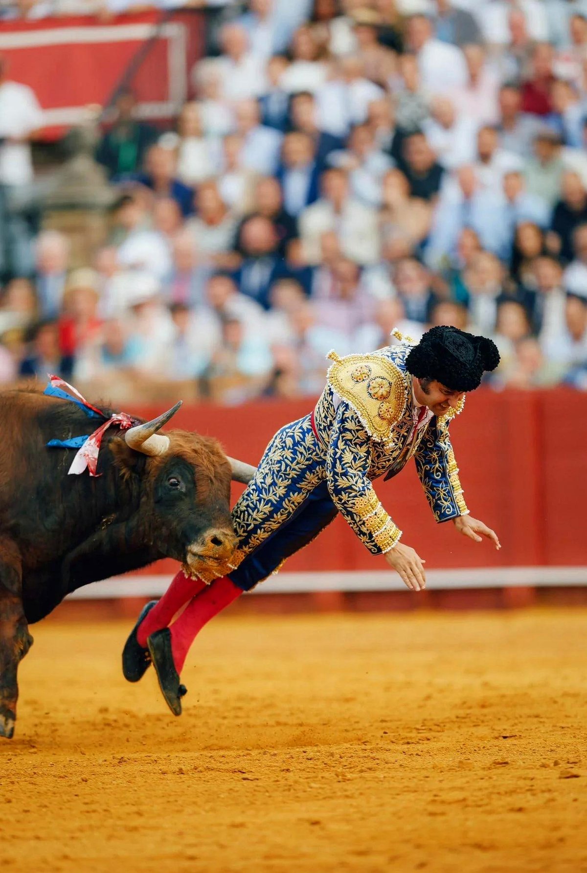 The moment Morante de la Puebla faced a bull in a terrifying incident