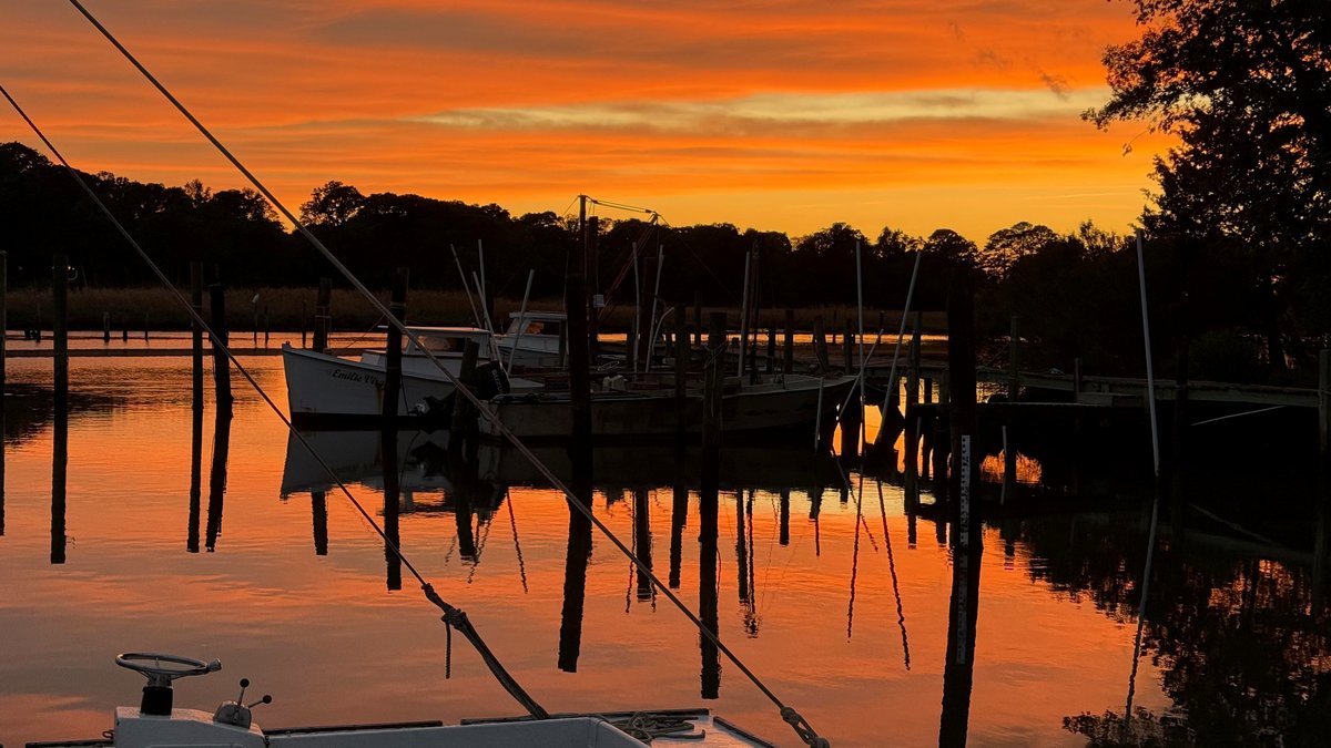 One stunning sunset image that speaks to the heart of every nature lover