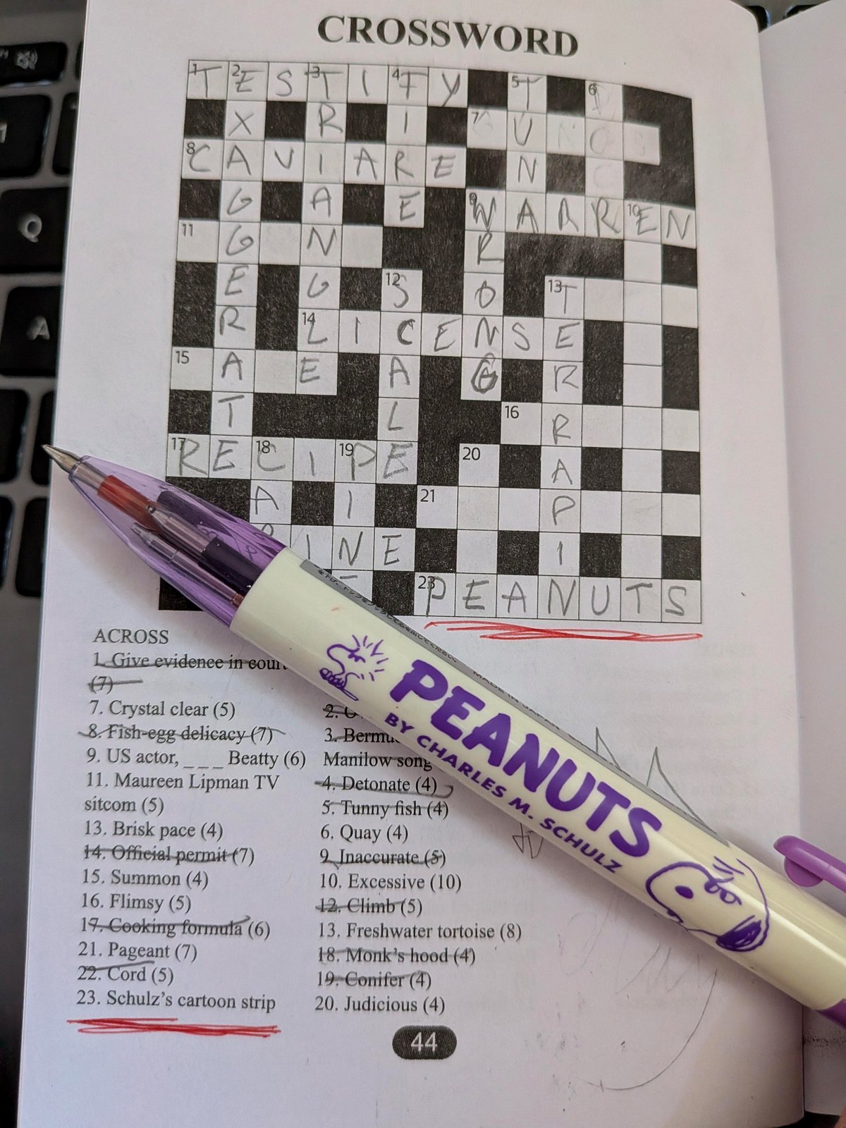 How a pen helped solve more than just a crossword puzzle