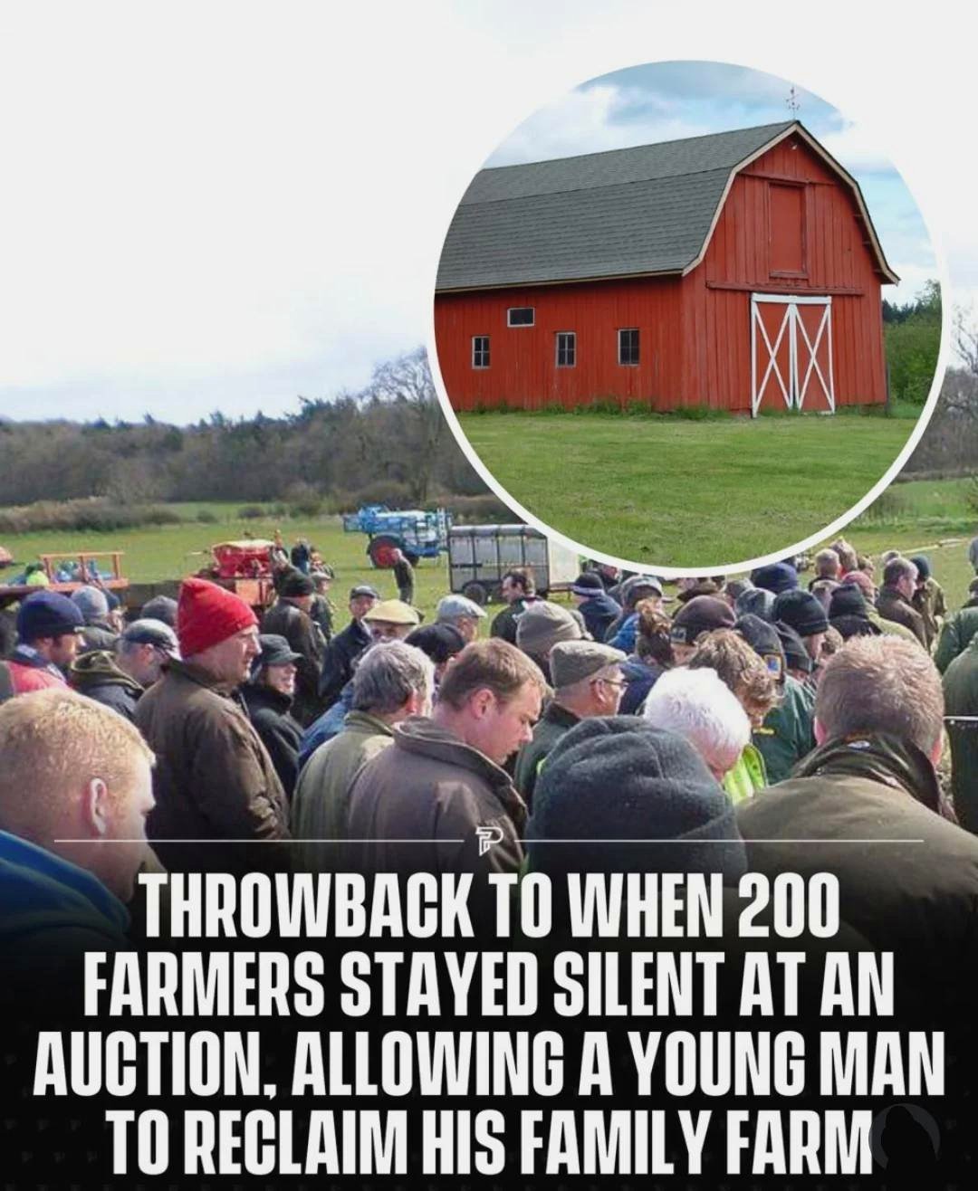 A Heartwarming Story of Family and Joy on a Colorful Farm