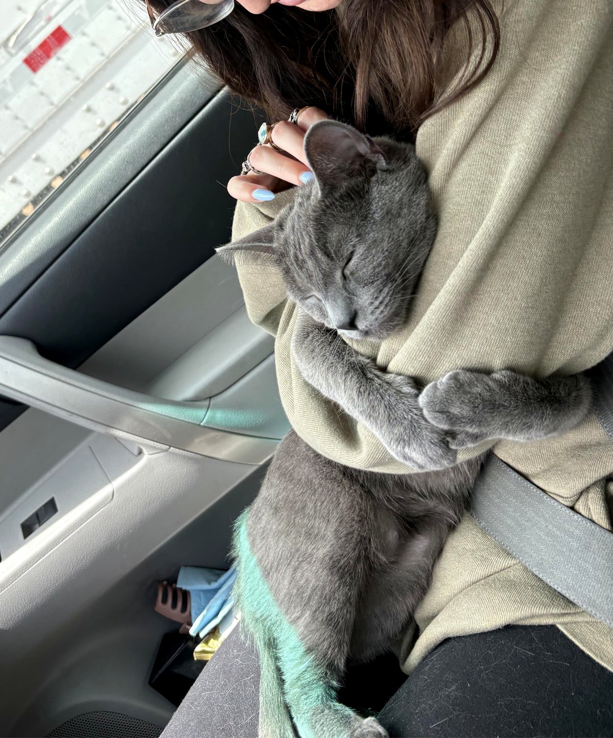 This tiny puppy will melt your heart with just one look