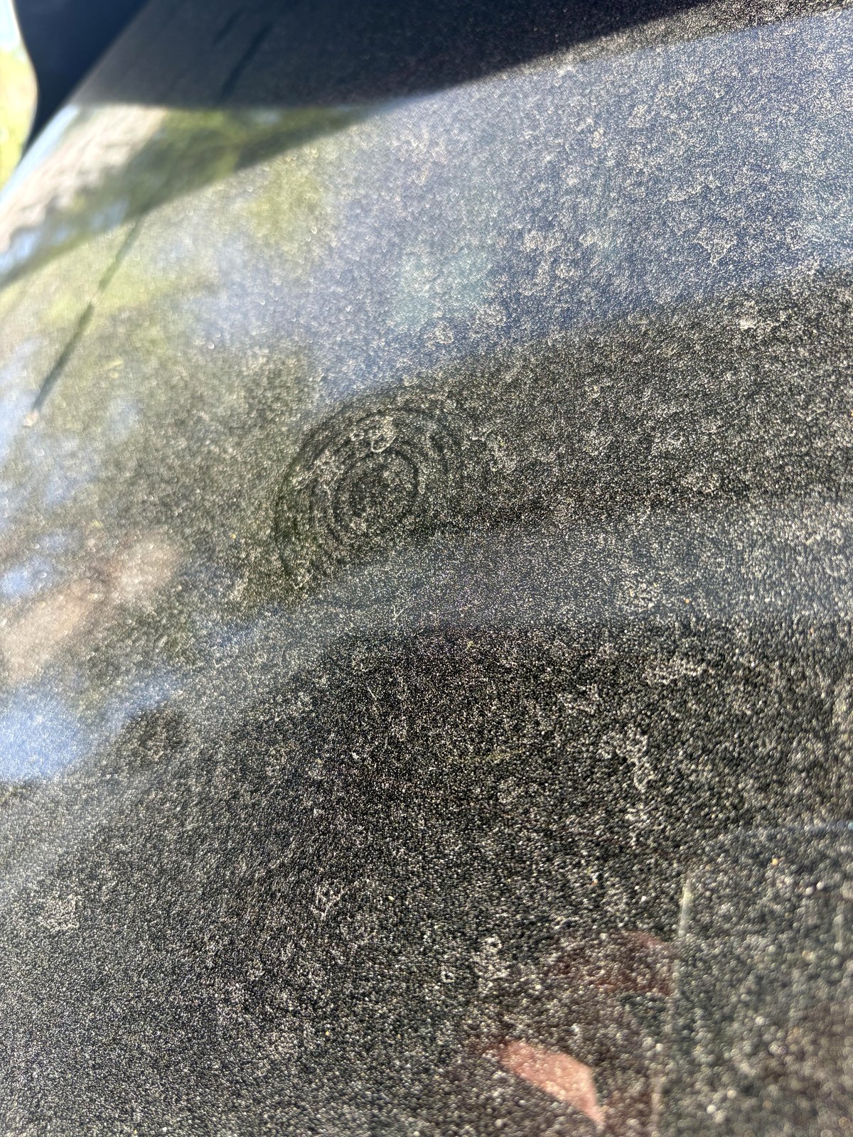 What appeared on her car after three weeks of no wash left her in awe