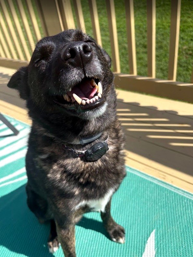 A simple moment of love that touched thousands of hearts