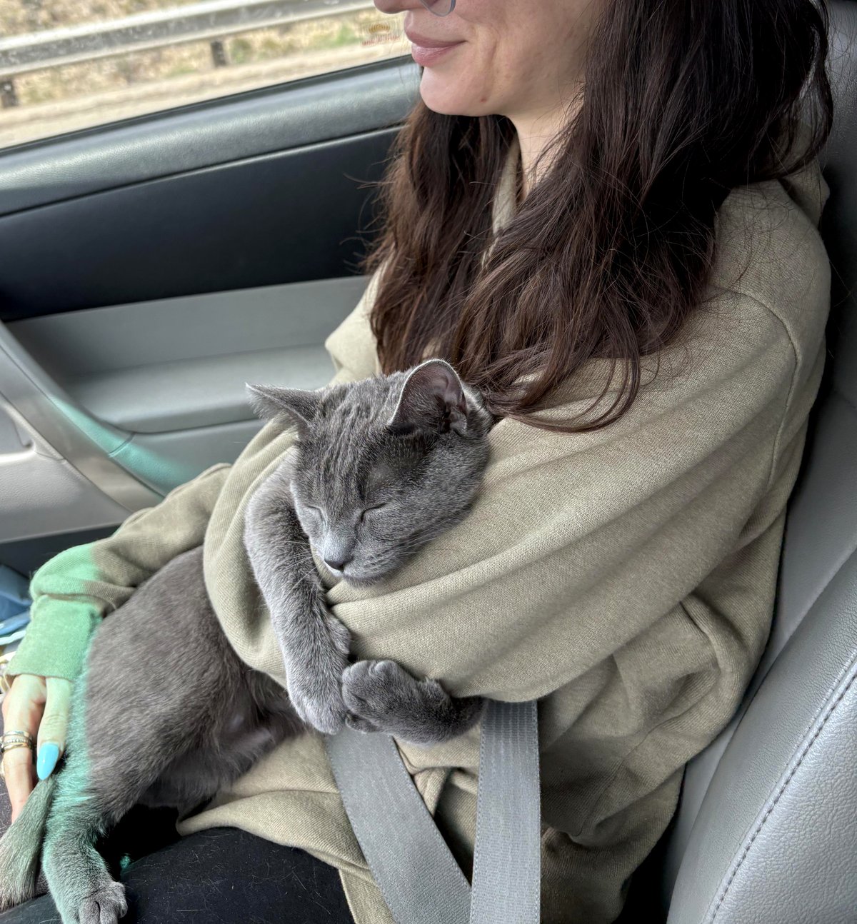 you'll be amazed how this dog turns naptime into an art form