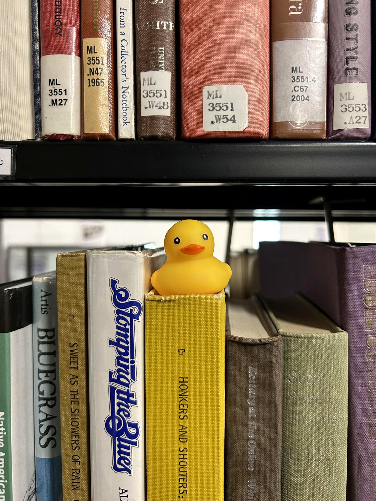 Students discover hidden ducks on campus, sparking a joyful campus adventure
