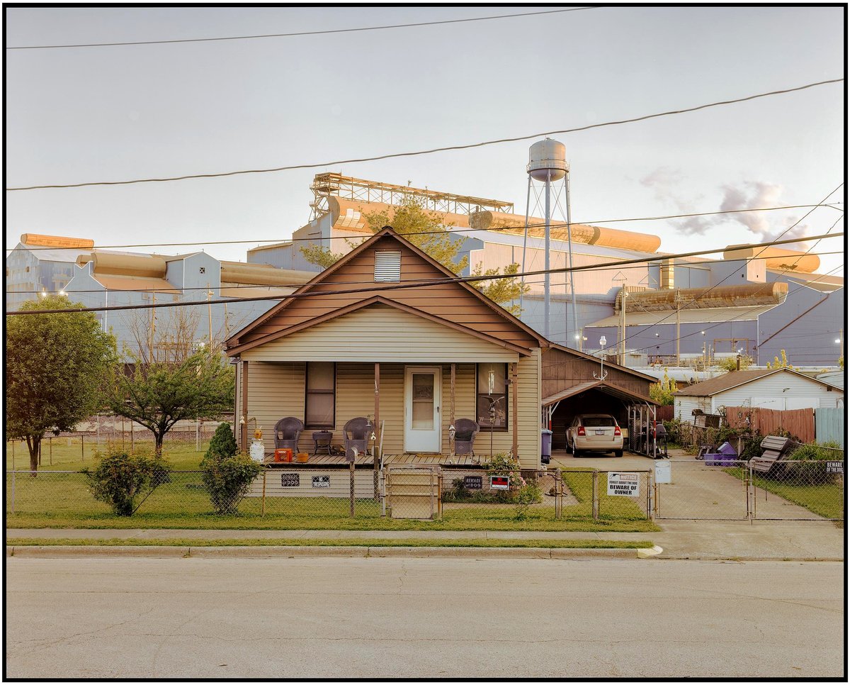 This breathtaking snapshot captures an unexpected harmony of life