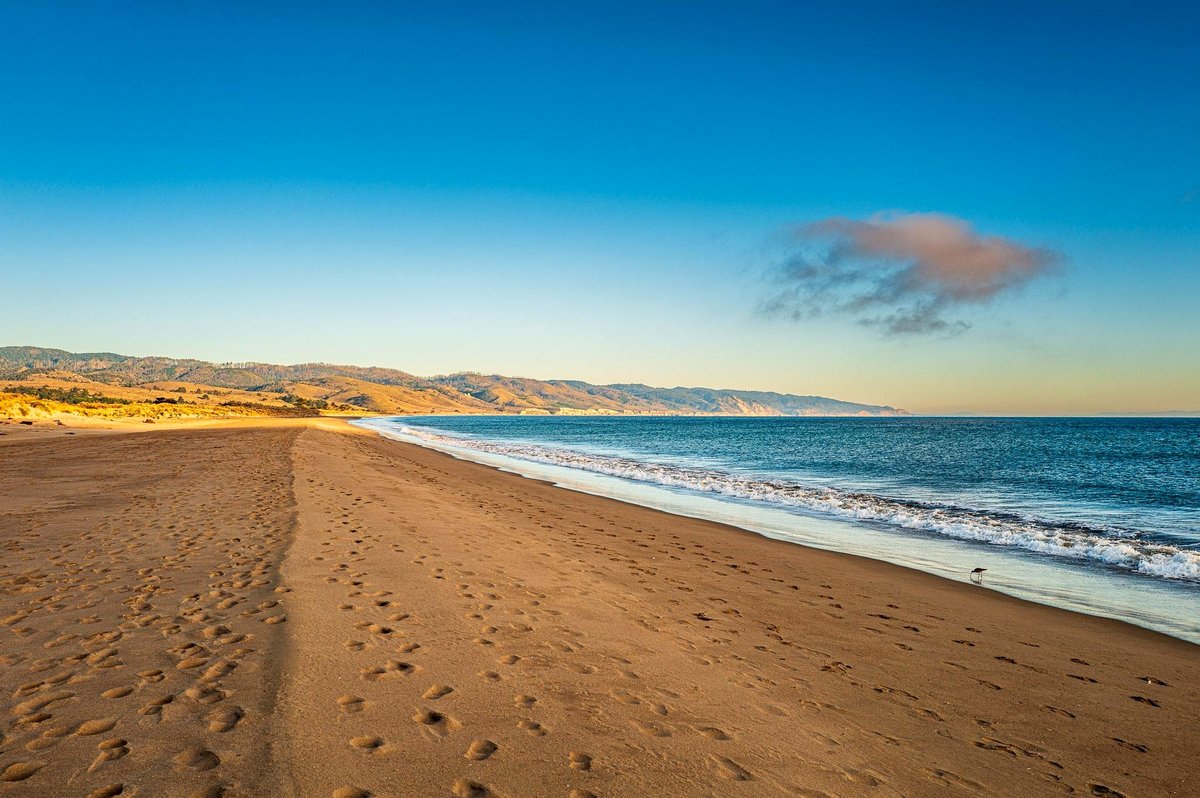 Breathtaking Winter Moments Captured at Point Reyes Seashore