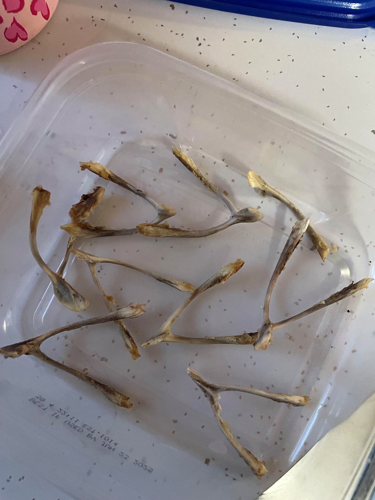 A couple's heartwarming plan for tough times will leave you smiling