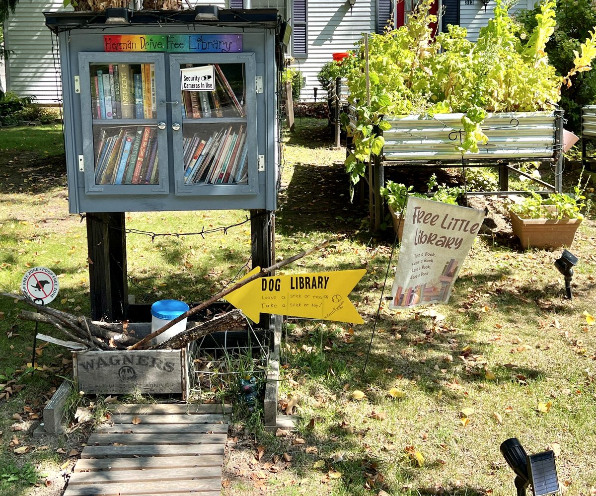 This adorable little library is serving up kindness and dog treats in my area