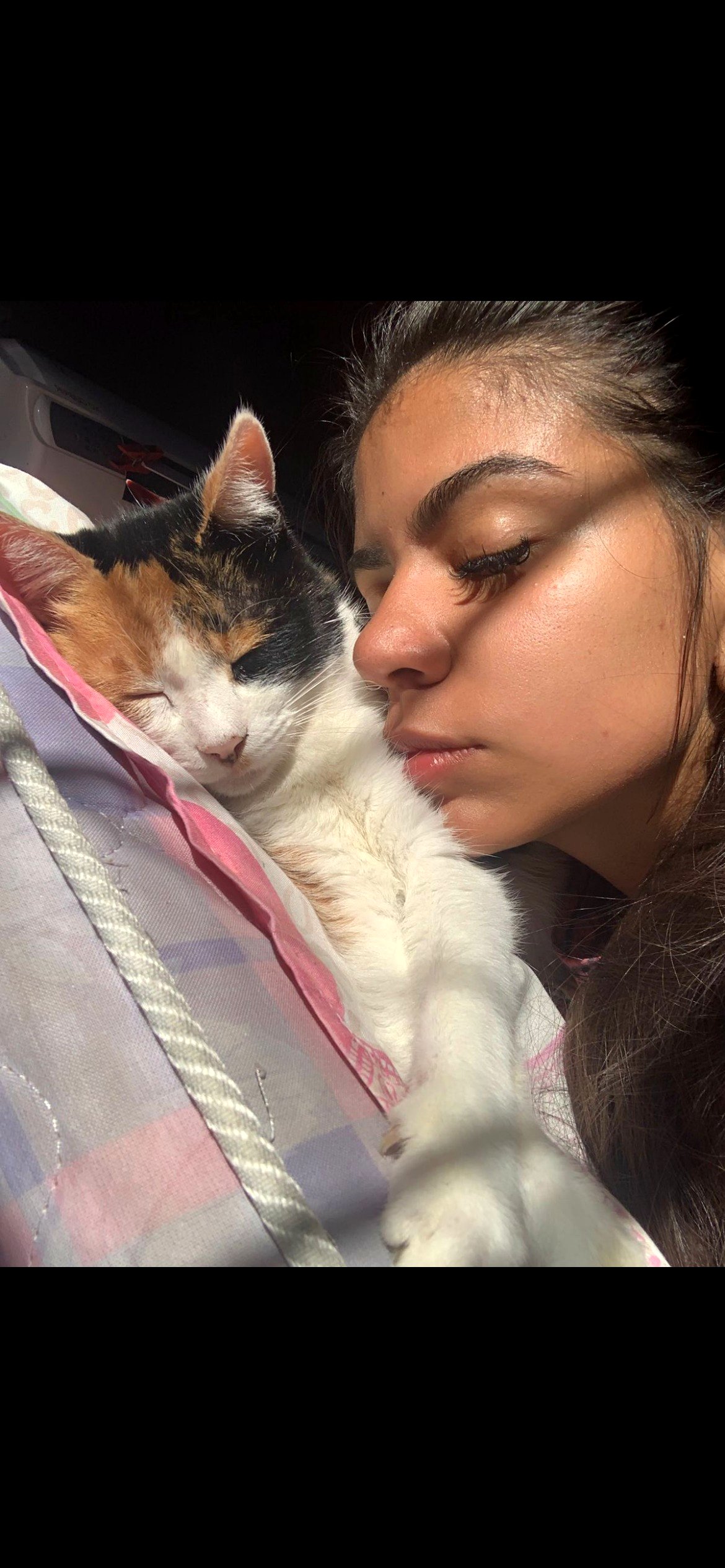 A heartbreaking farewell to my beloved Biscuit, the sweetest soul I knew