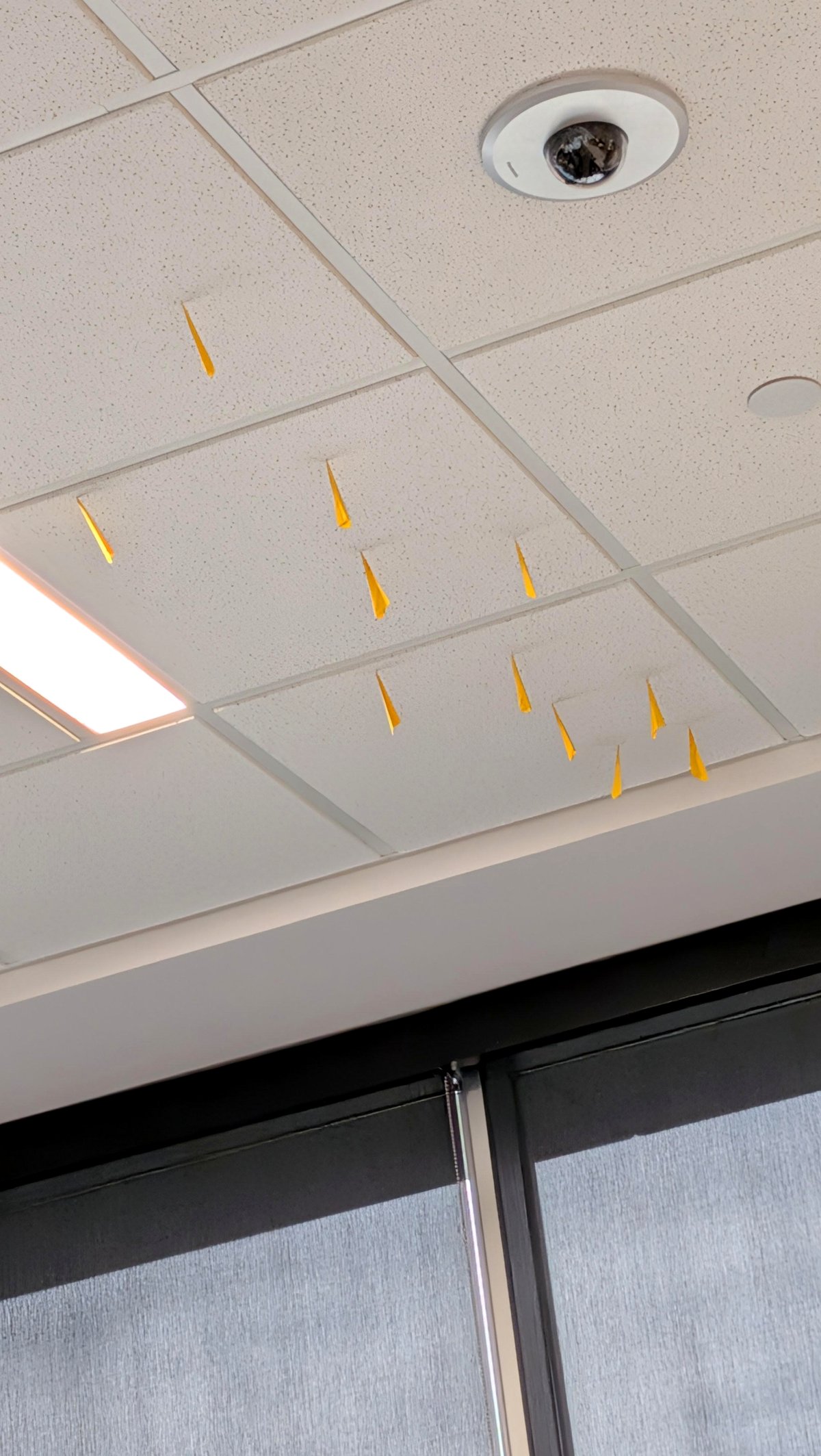 What these paper airplanes in the airport ceiling reveal about travelers' dreams