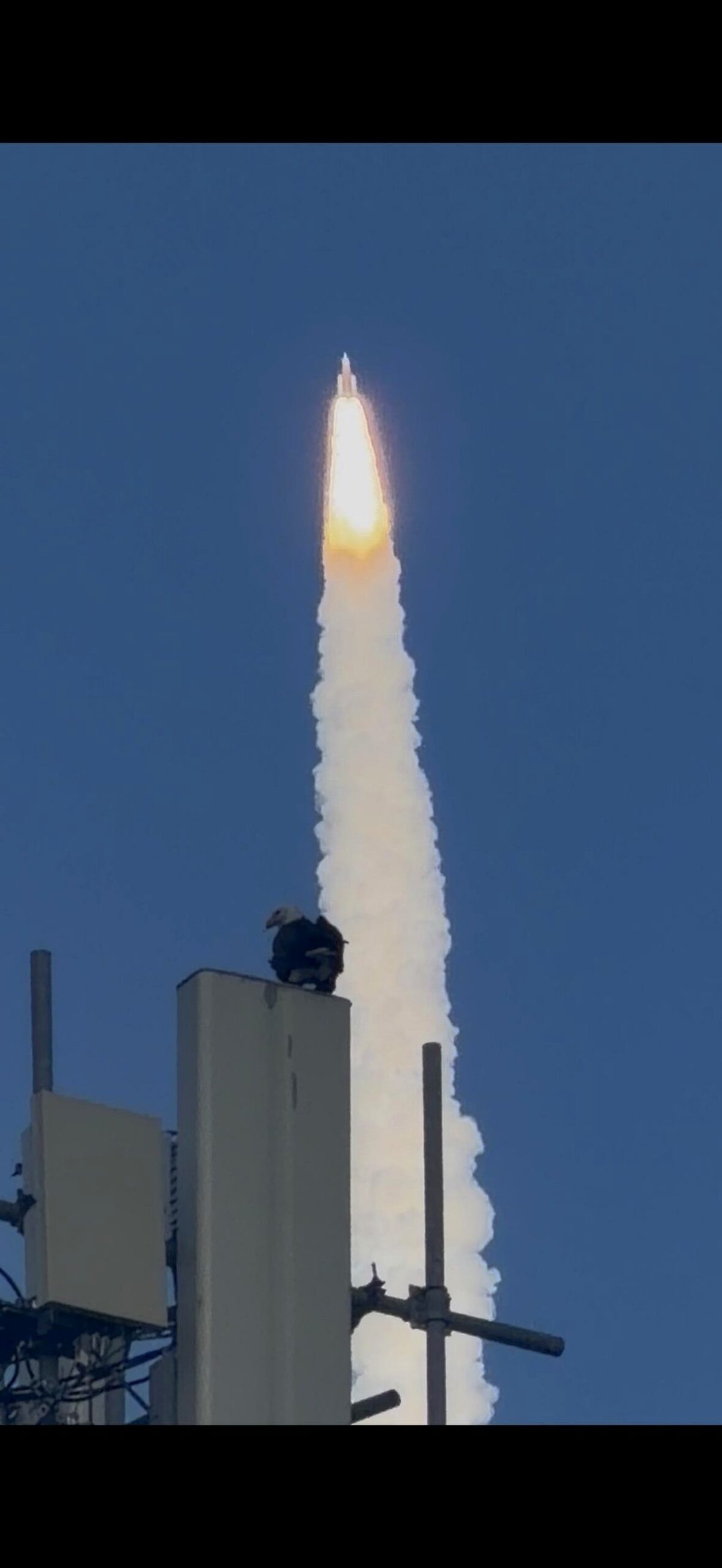 A breathtaking moment with an eagle and Artemis II in one stunning shot