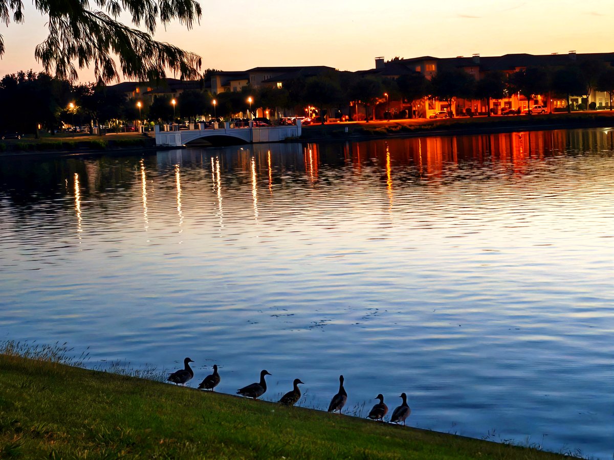A simple stroll turned into a breathtaking moment of joy