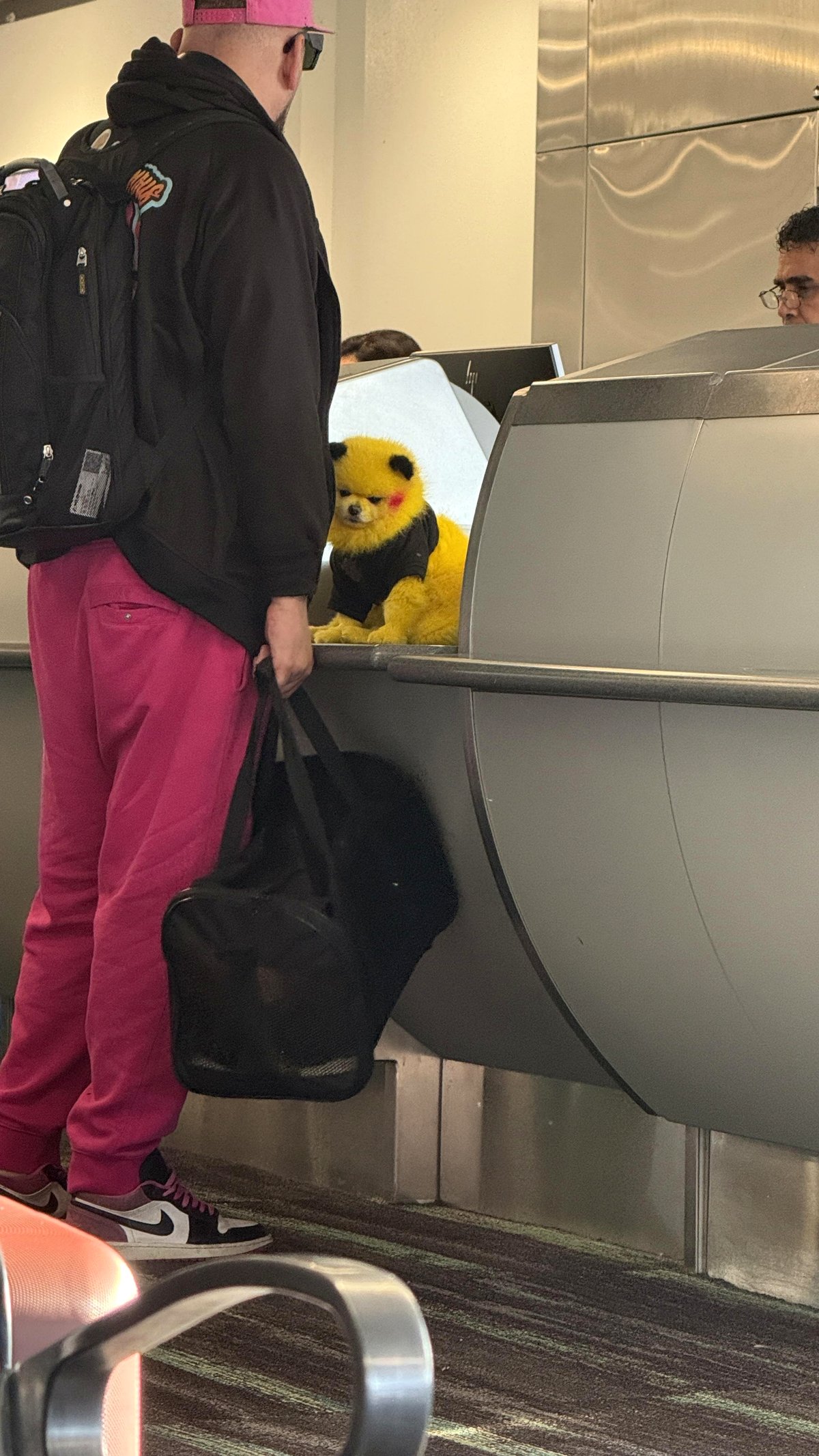The heartwarming moment a Pikachu chihuahua brightened a crowded airport