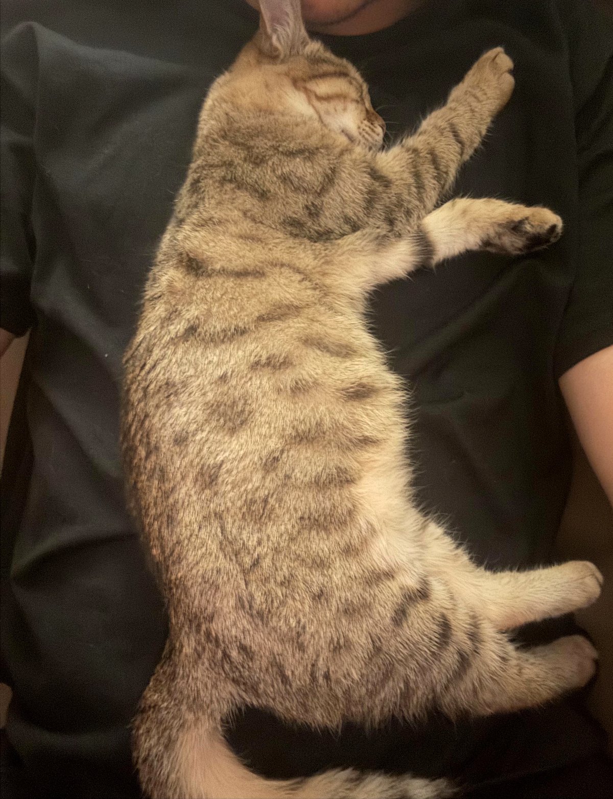 This puppy’s rescue story will leave you in tears