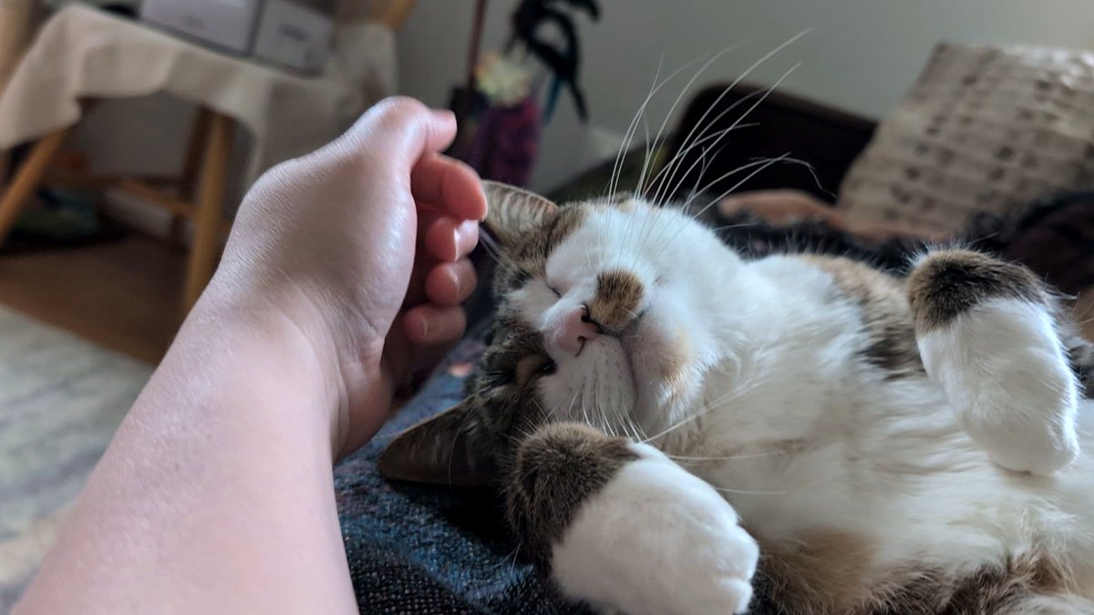 Ellie enjoys the little pleasures in life, such as gentle head rubs and cuddles with her mom 🩷