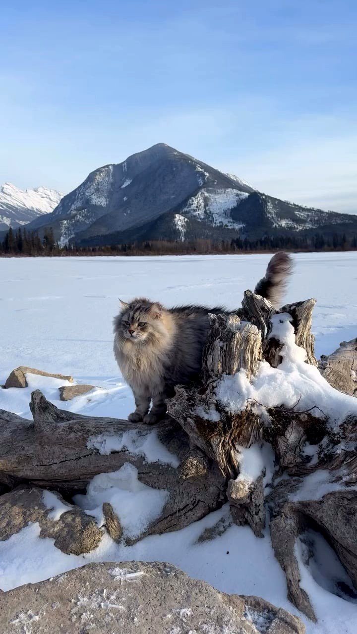 The ultimate challenge of the mountain has come.