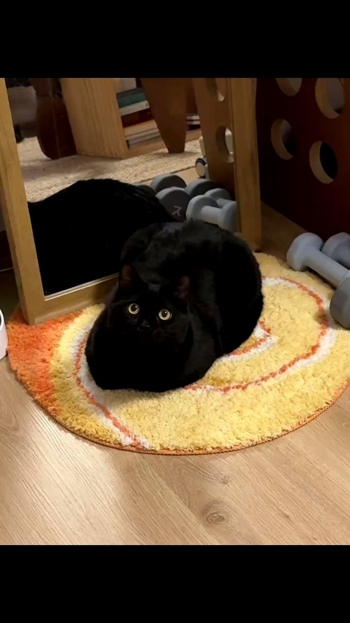 He desires additional snacks.