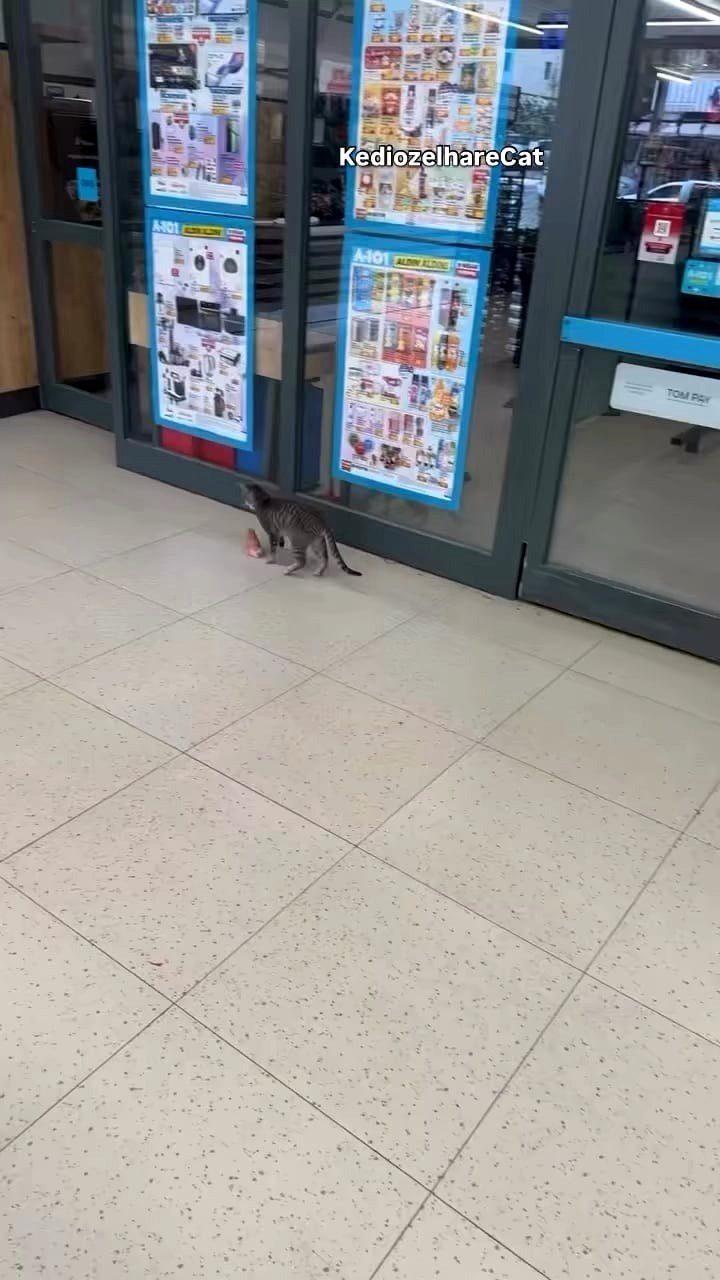 Little guy super happy because he discovered his meal!