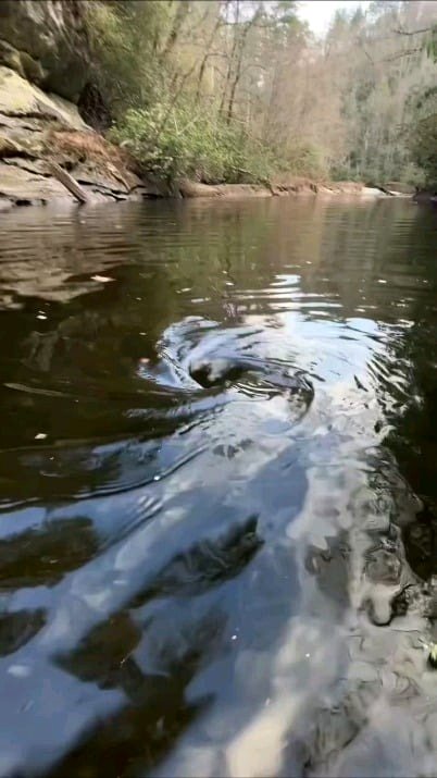 🔥 A water whirlpool reaching far into the abyss