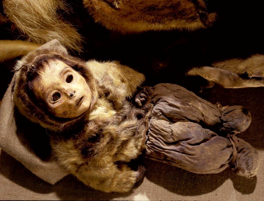 The six-month-old Qilakitsoq infant, naturally mummified, was first mistaken for a doll by the hunters who found him.