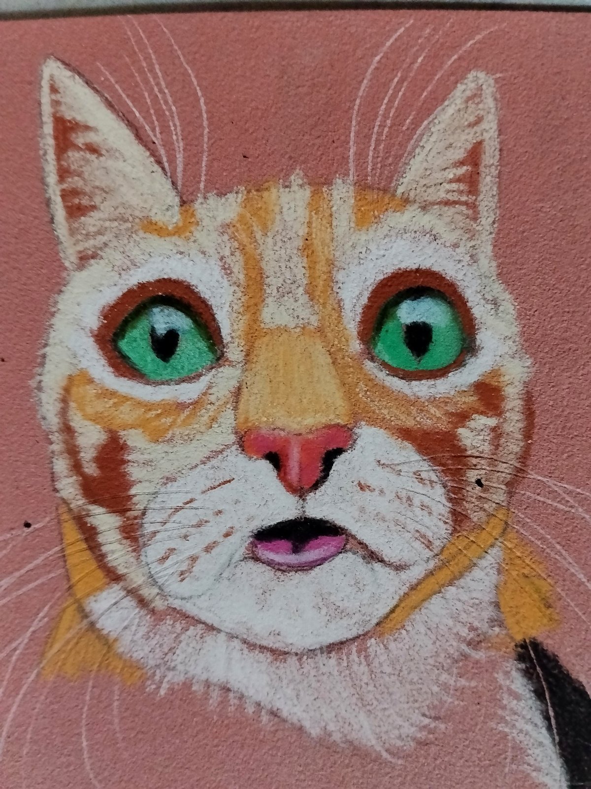 Share your cats, everyone; I'll be sketching the funniest ones poorly.