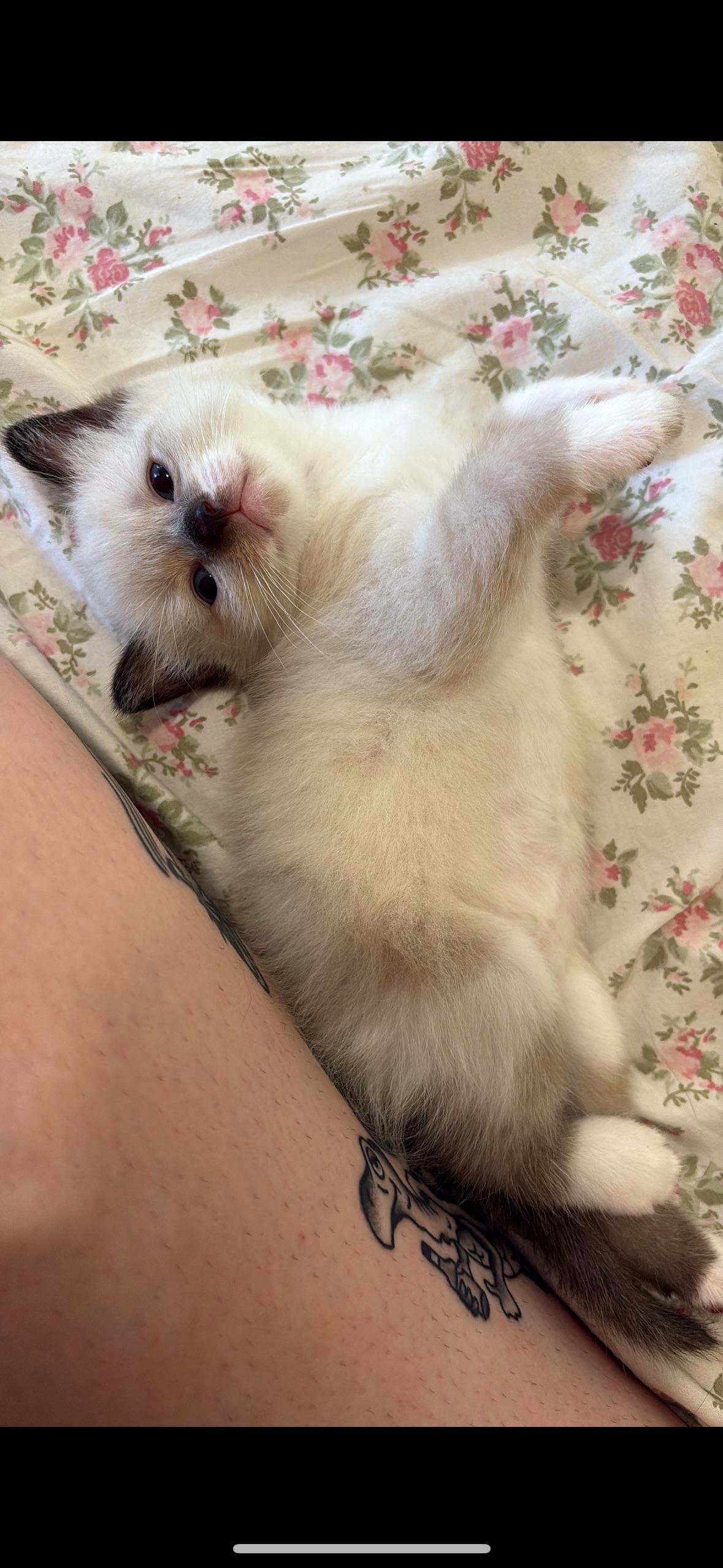 My tiny infant