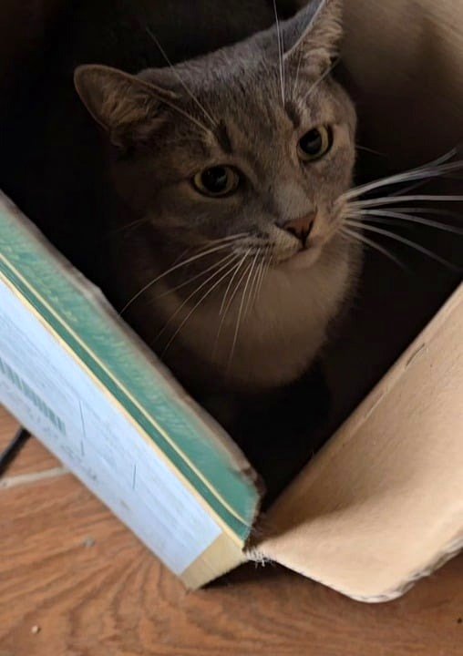 The quick widening of my pupils as I strike her box.