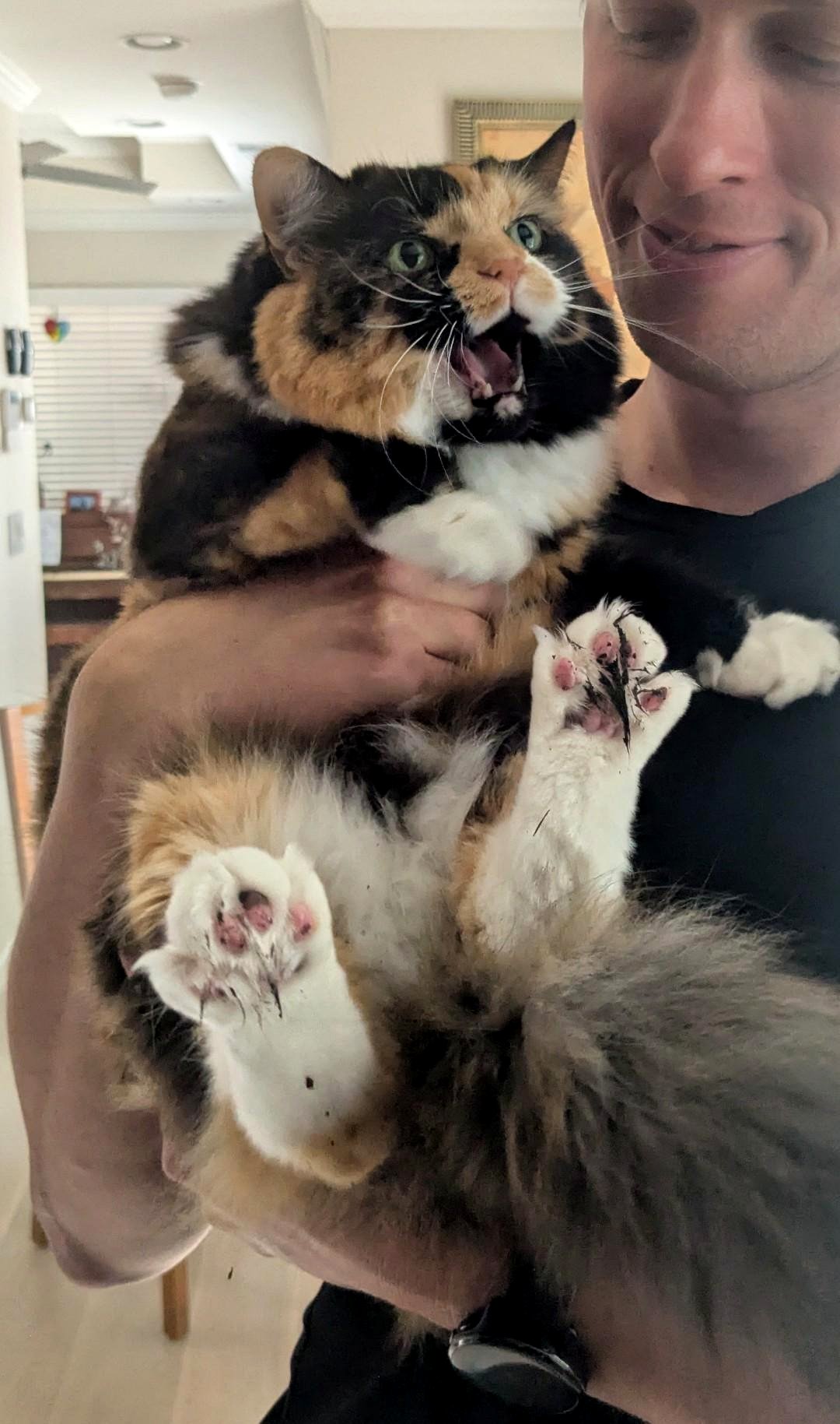 HER ANGER Cannot BE Restrained