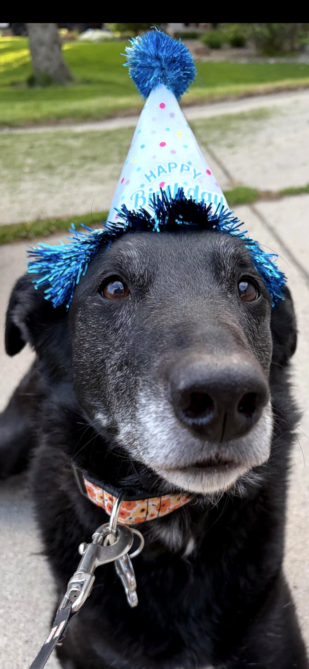 Ellie turns ten today.