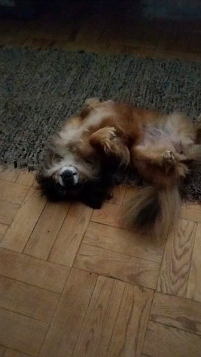 My silly little one always acts like this after waking up. Mind blank, no thoughts at all.