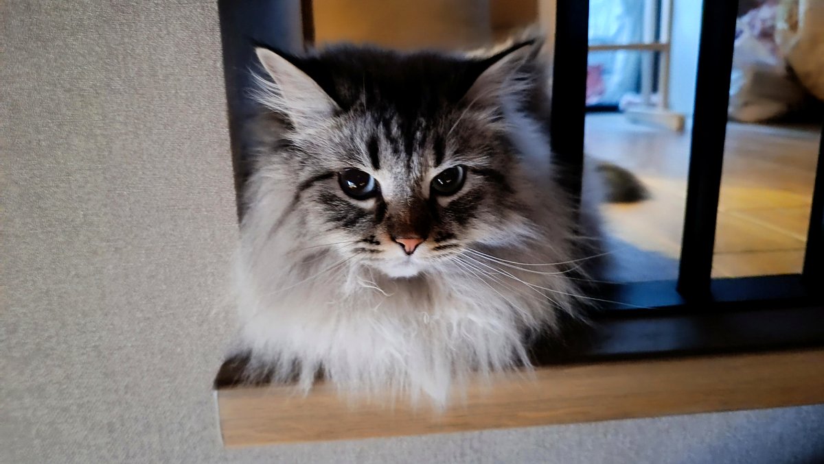 The spot my cat loves to lie down.