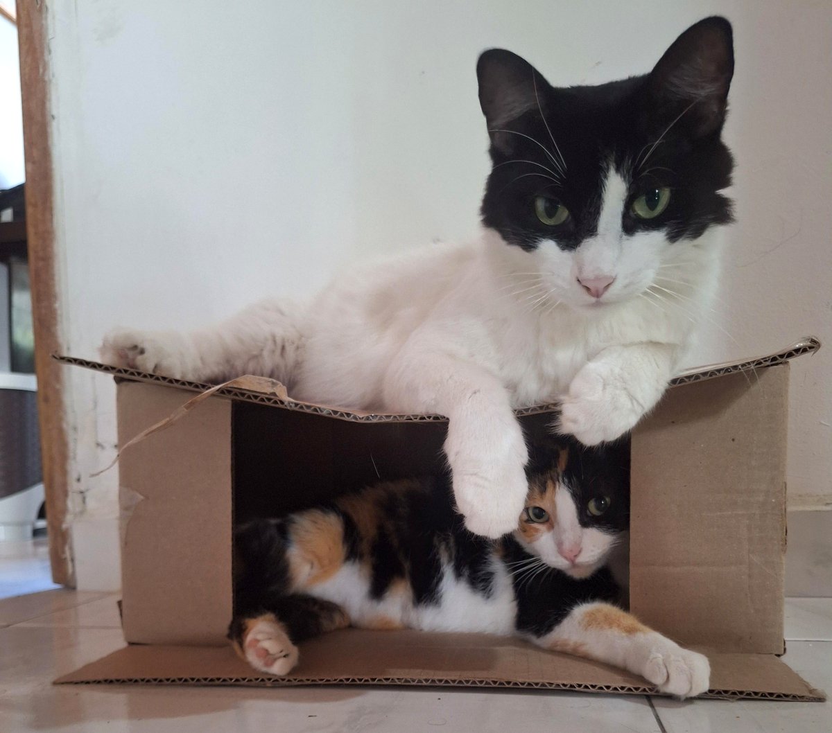 He resides above her.