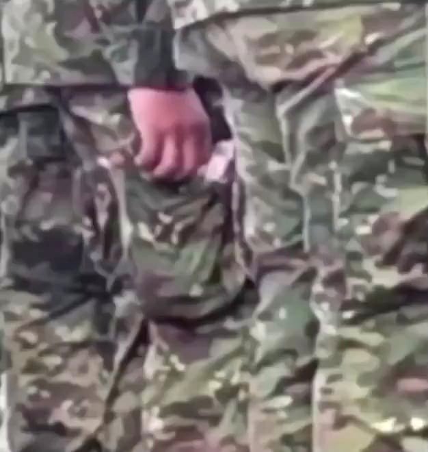 Standard-issue tactical kitten evaluating the Turkish military.