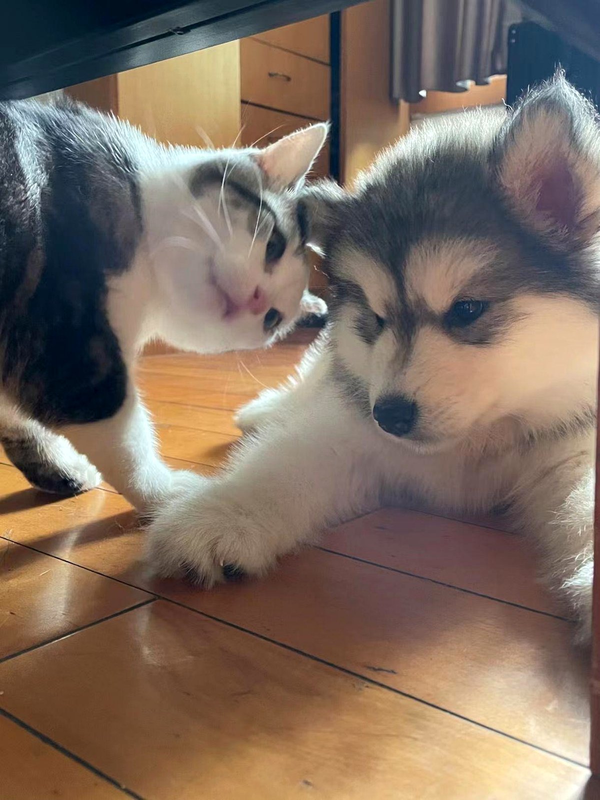 Orientation for new employees is getting… intense🤫👀