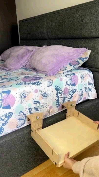 The cat has a bed of its own.