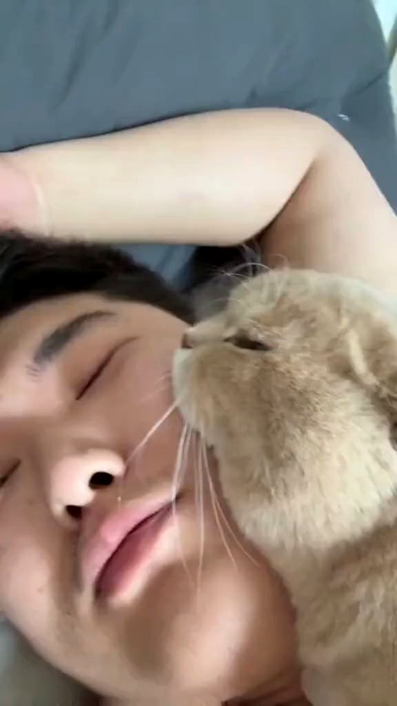 She just wants to nap on his face 😭