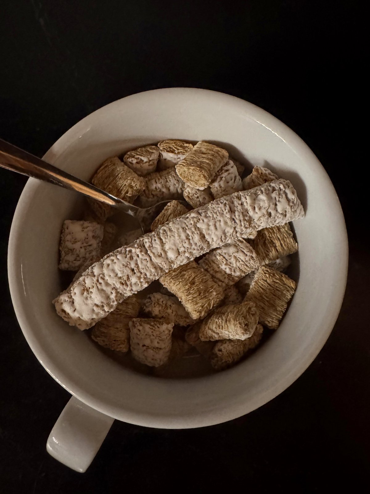 This large mini wheat