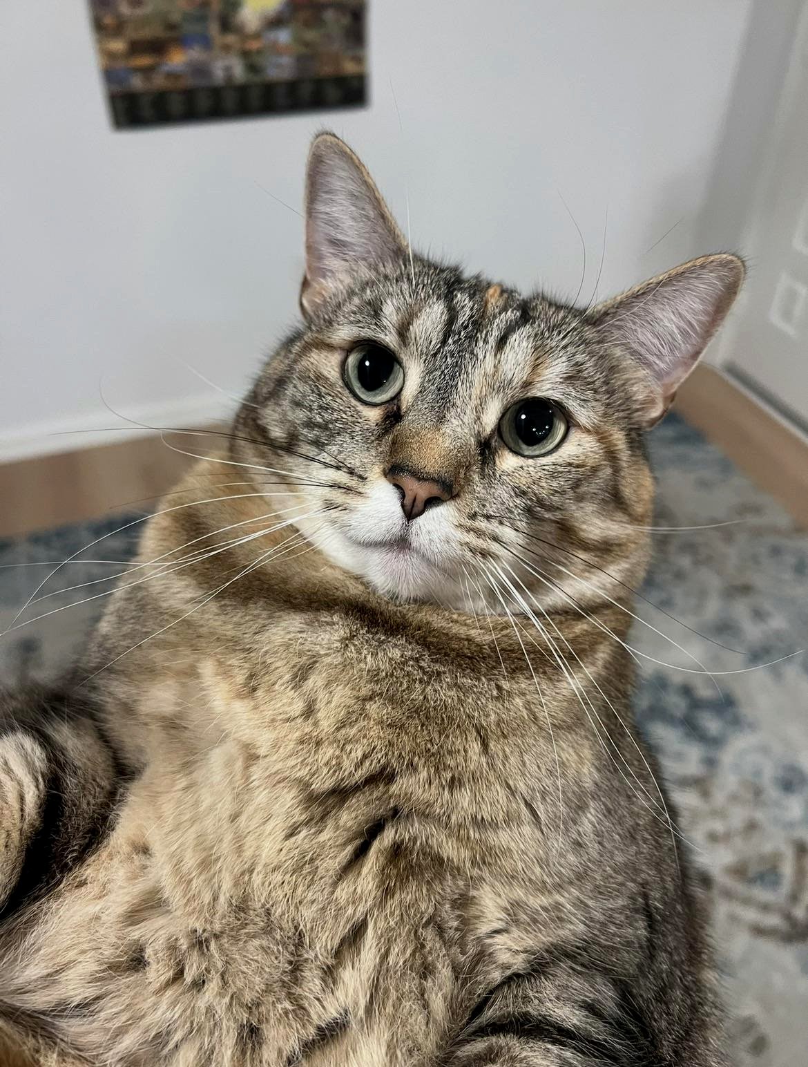 Bella is especially adorable today.