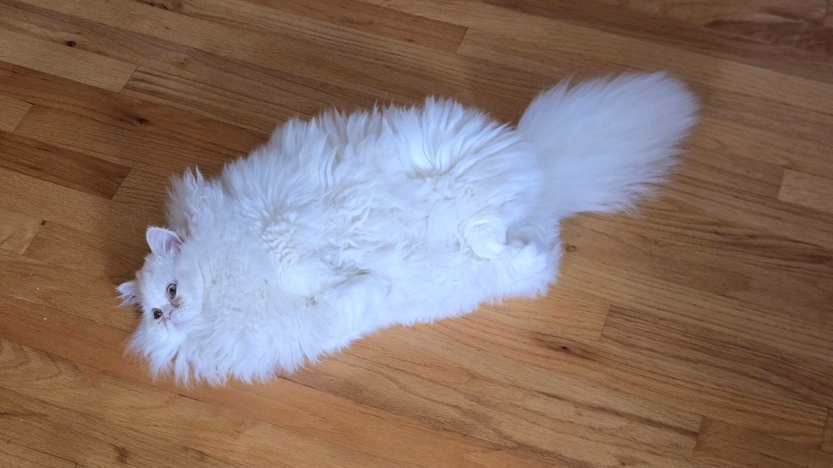 Locate my legs challenge